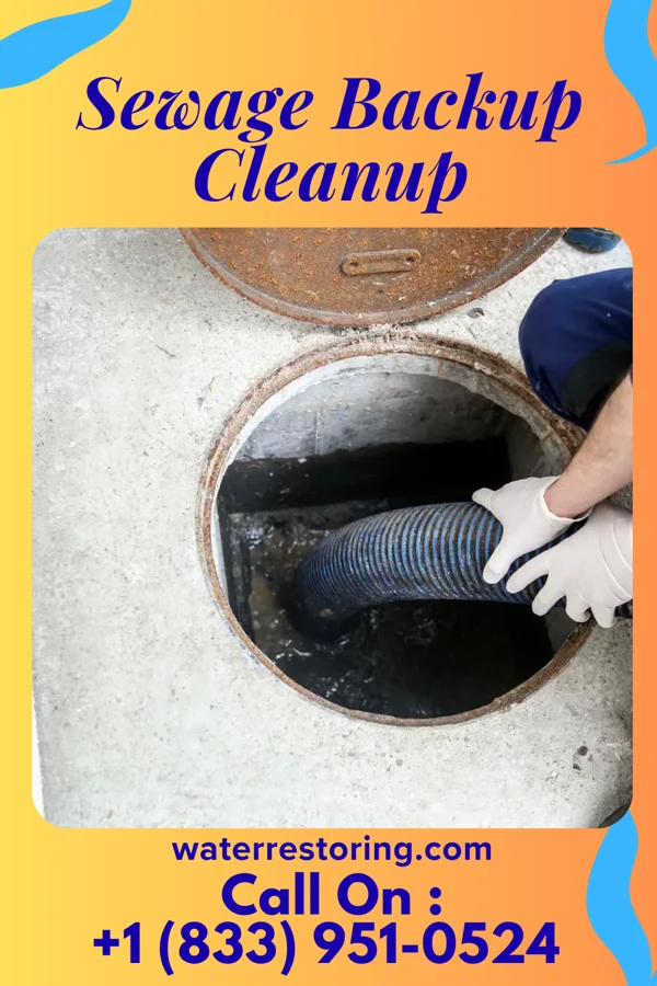 Sewage Backup Cleanup in Millersburg, IA